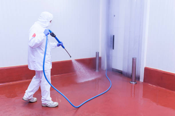 Best Solar Panel Cleaning  in Scandia, MN